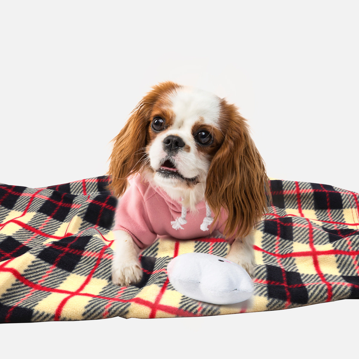 Cat And Dog Pet Mat Double-Sided Fleece Fleece Blanket Car Knee Blanket Gift Blanket Wholesale Spot
