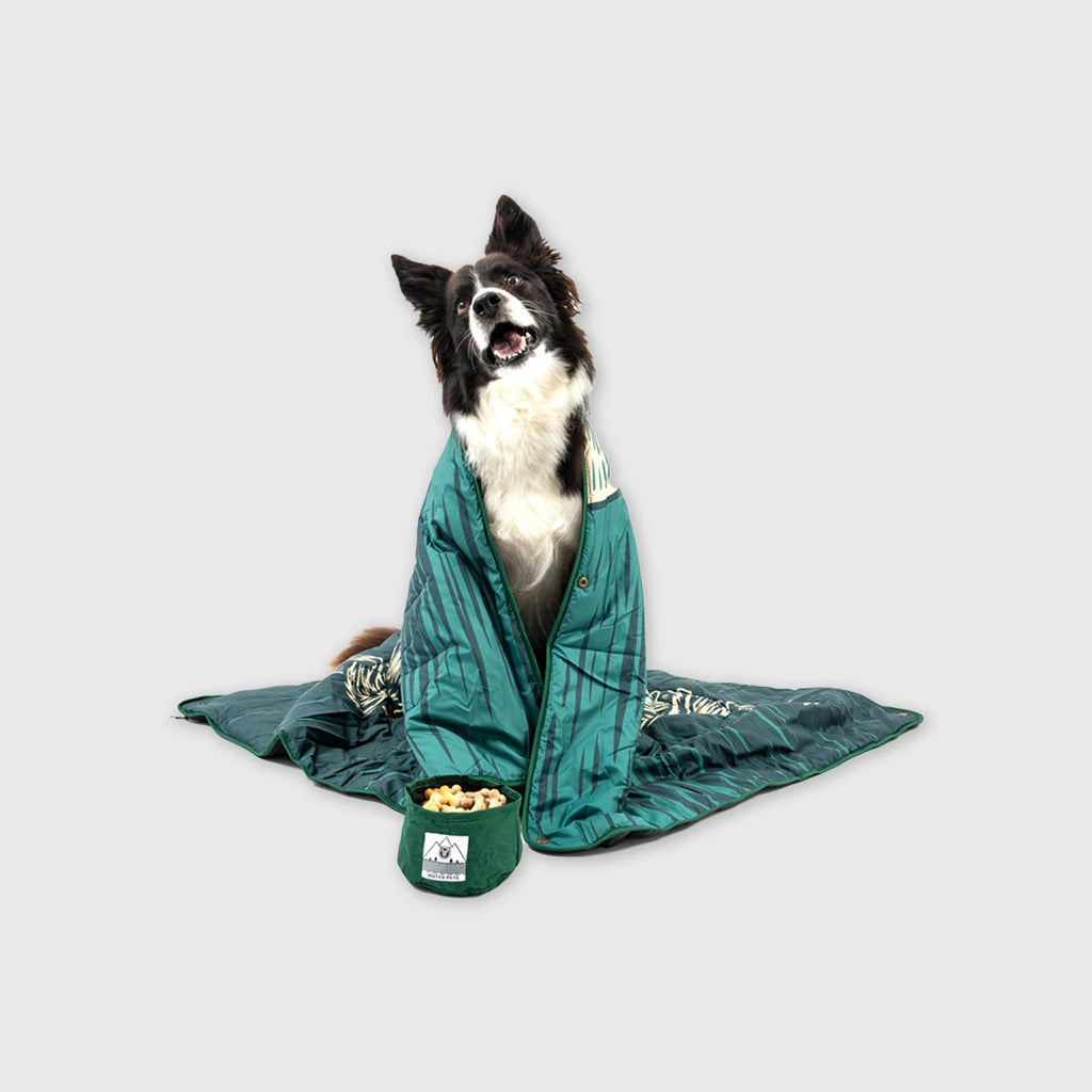 Amazon All-In-One Outdoor Travel Windproof Waterproof Moisture-Proof Mat Pet Blanket