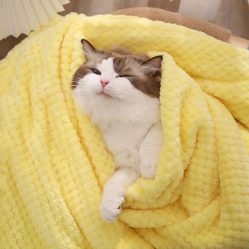 Newleader Custom Color 100% Polyester Coral Flannel Blanket Pet Cover Blanket