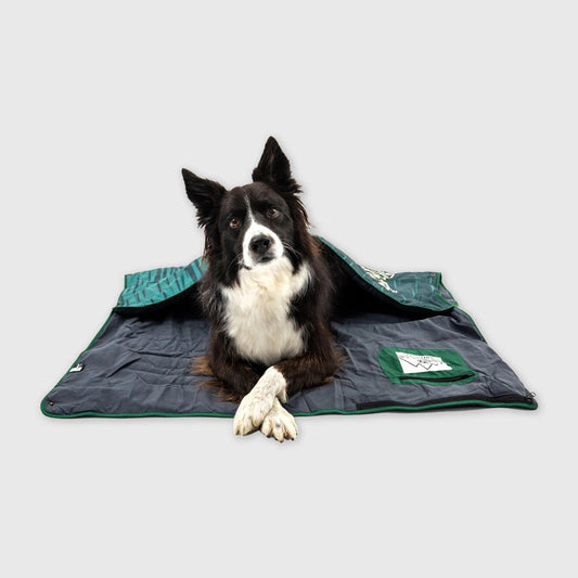 Amazon All-In-One Outdoor Travel Windproof Waterproof Moisture-Proof Mat Pet Blanket