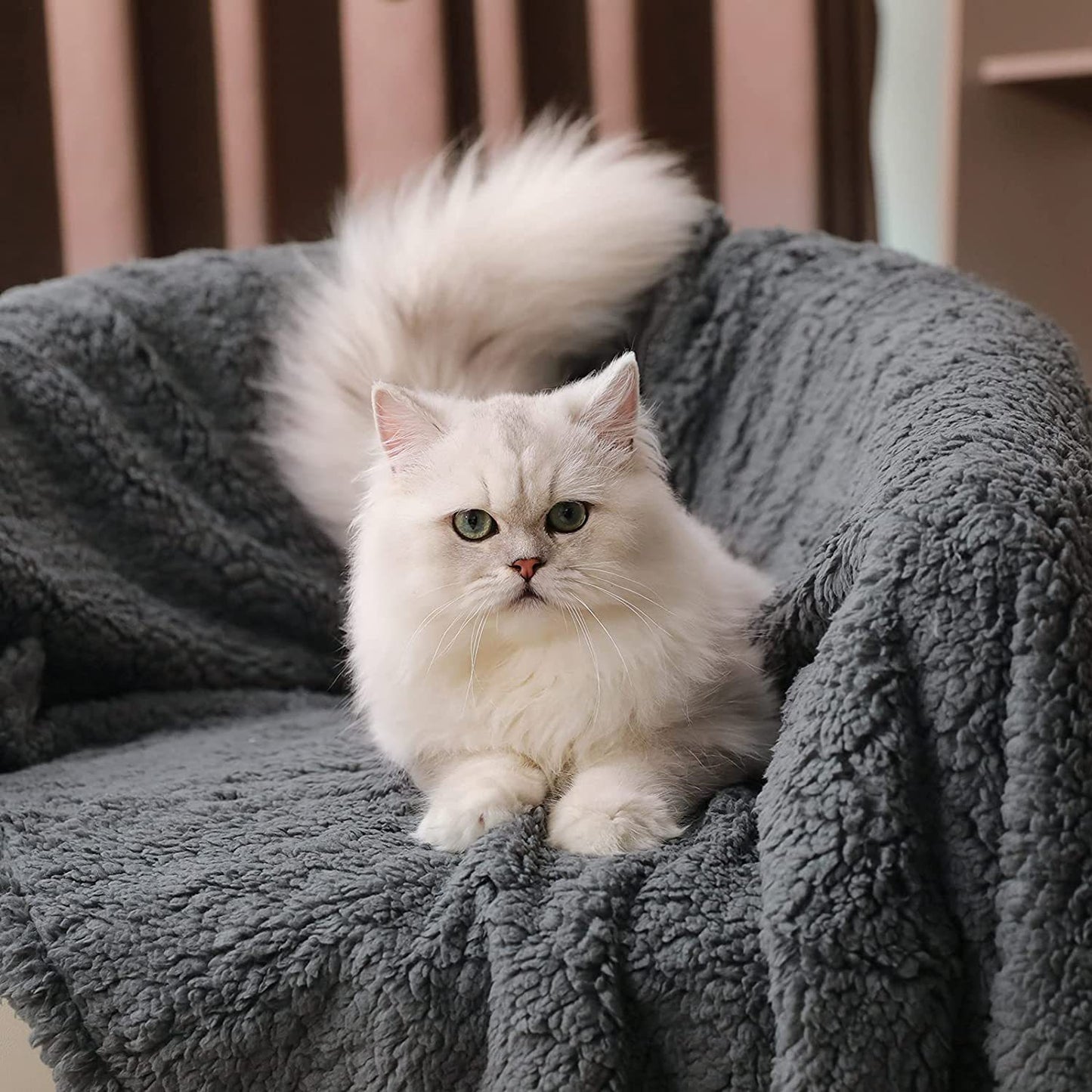 Wholesale pet four seasons blanket dog blanket cat mat Four seasons general purpose lamb blanket coral velvet