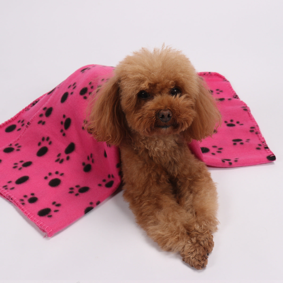 Factory Double-Sided Wool Blanket For Warm Dog Paw Print Pet Blanket For Pets