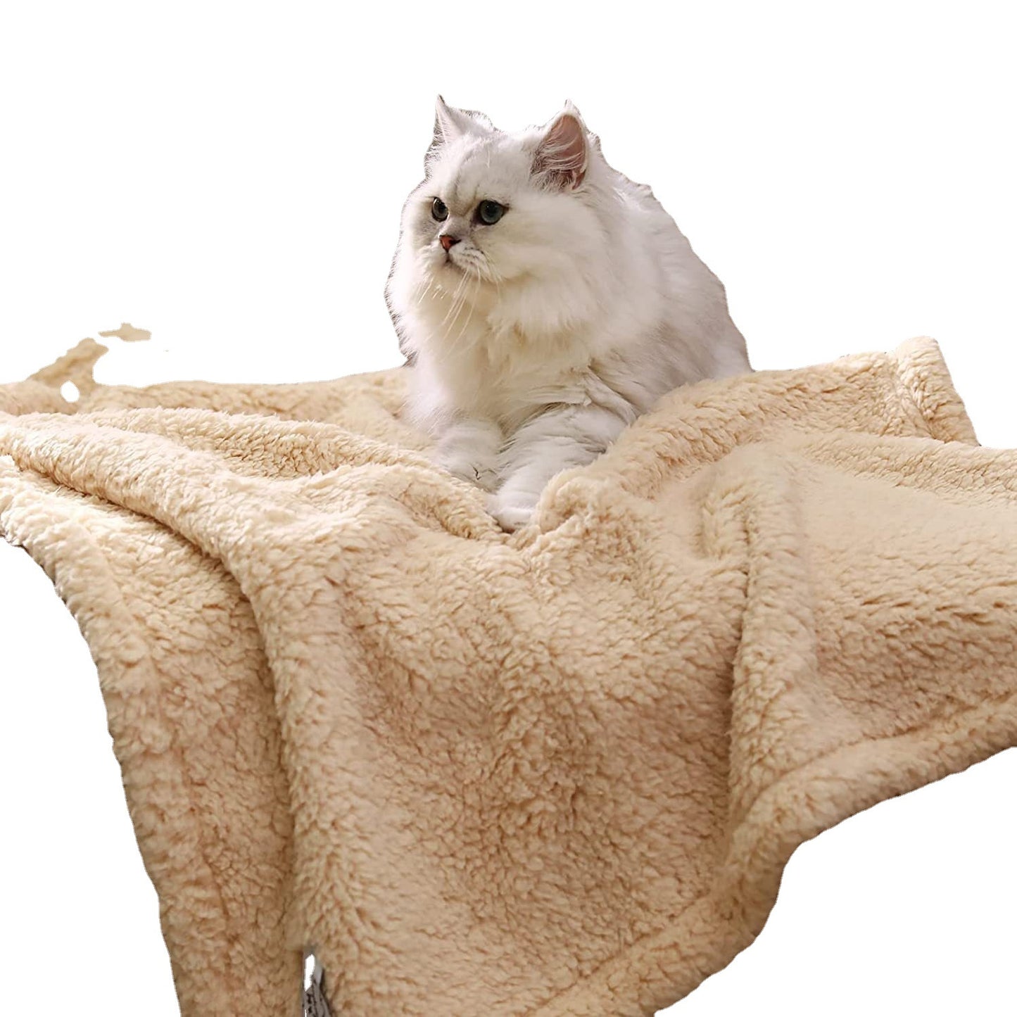 Wholesale pet four seasons blanket dog blanket cat mat Four seasons general purpose lamb blanket coral velvet