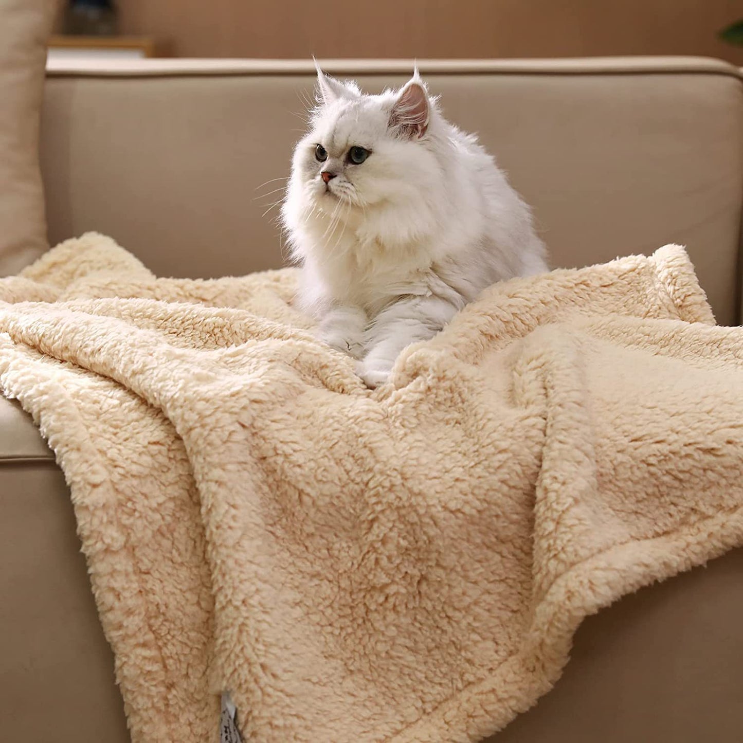 Wholesale pet four seasons blanket dog blanket cat mat Four seasons general purpose lamb blanket coral velvet